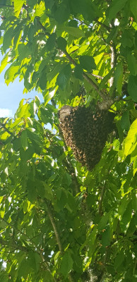 WhatsApp Image 2025-11-29 à 00.13.04_d52614fa.jpg