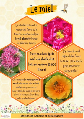 poster miel p1 (1).jpg