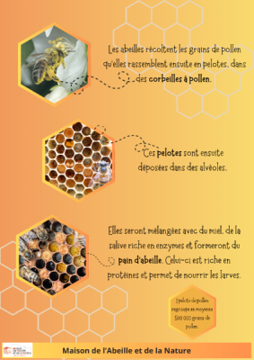 poster pollen (2).png