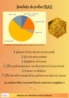 poster pollen (1).png