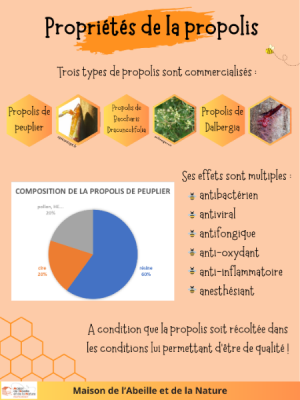 poster propolis (3).png