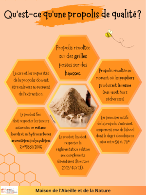 poster propolis 3.png