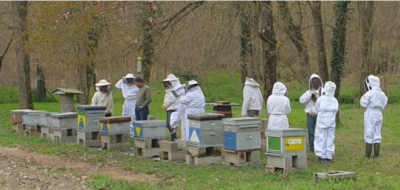 Elèves au Rucher Ecole de la MAN