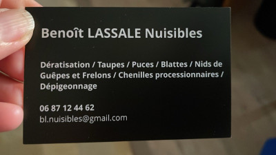 Benoit Lassale FA.jpg