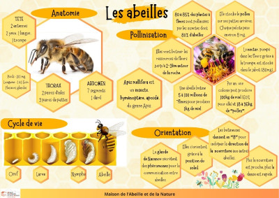 Les abeilles
